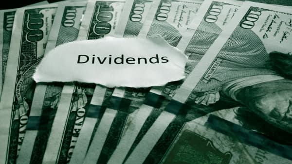 Dividend Repatriation vs Management Fees vs Royalties: Choosing the Right Route