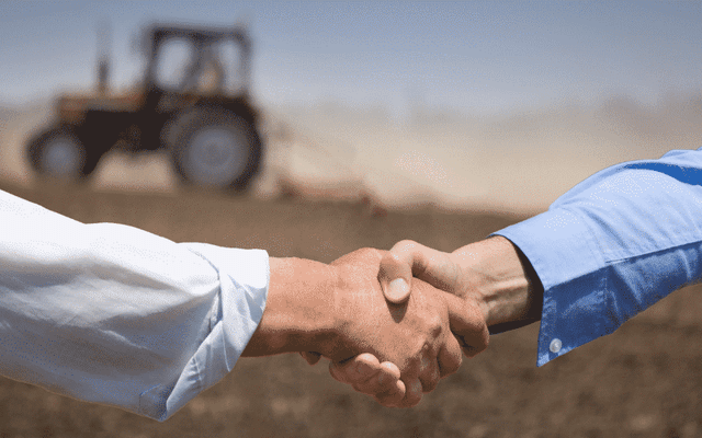 Finding Local Partners in Vietnam: A Practical Market Access Guide for Foreign Companies