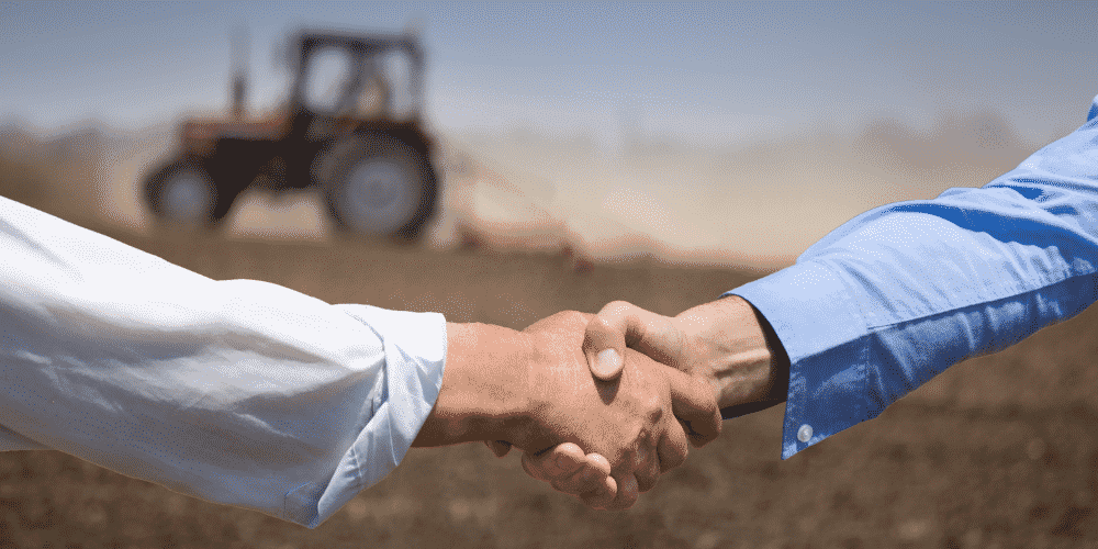 Finding Local Partners in Vietnam: A Practical Market Access Guide for Foreign Companies