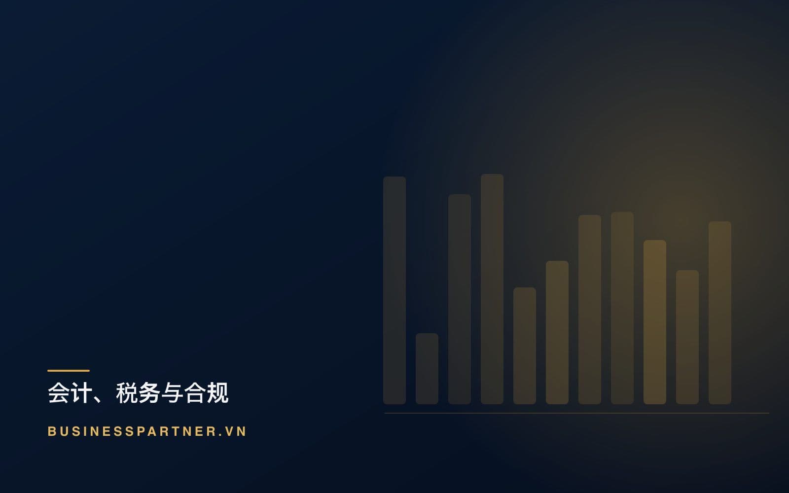 在越南如何挑选会计与记帐服务商