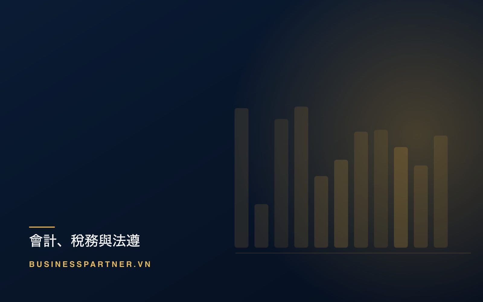 在越南如何挑選會計與記帳服務商