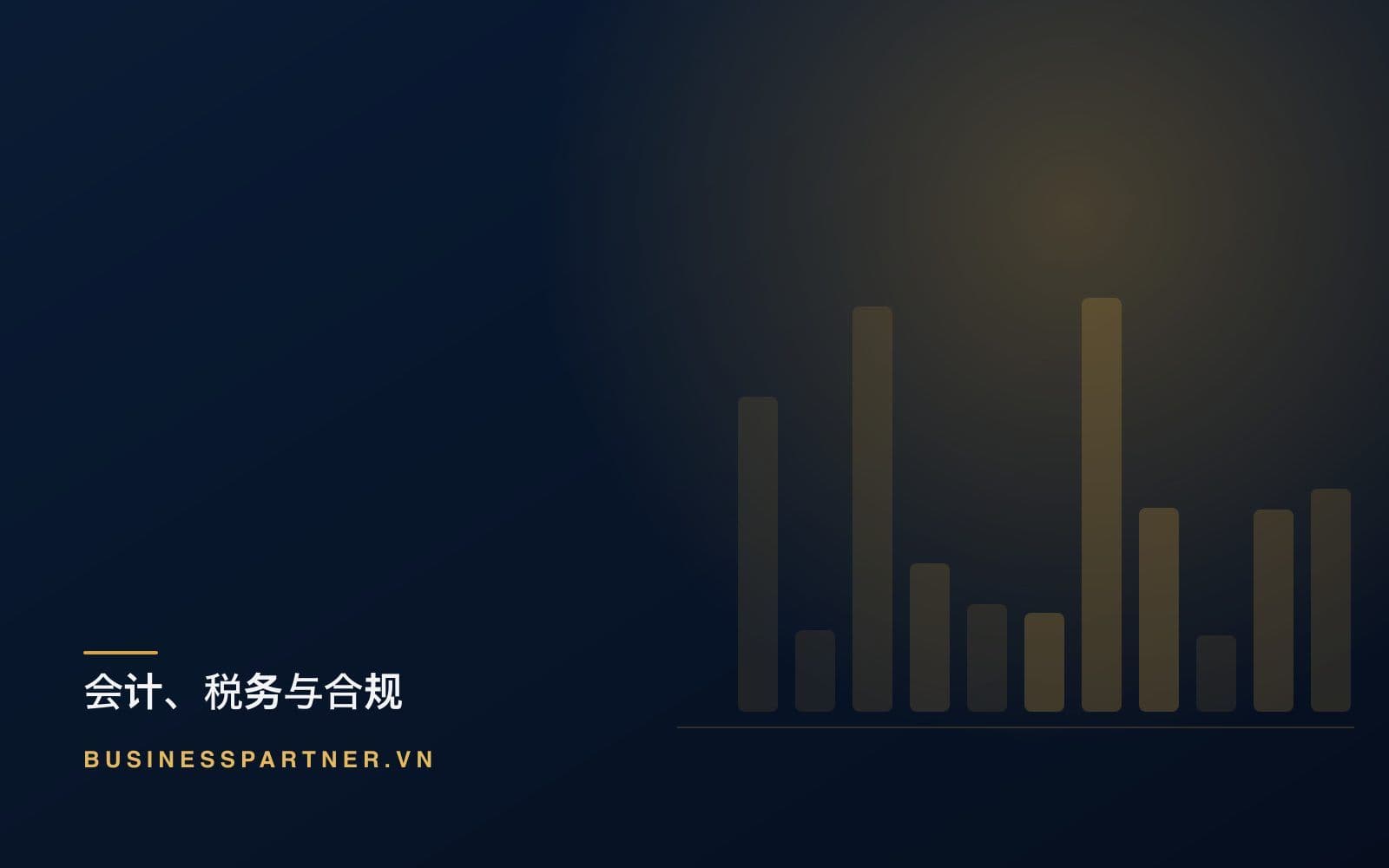 越南的企业税务规划:合法的杠杆