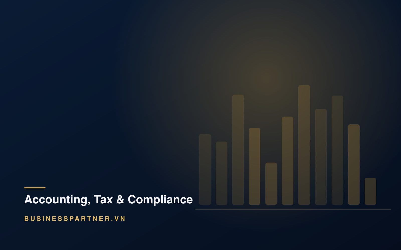 Moving Money In and Out of Vietnam: Capital Accounts, Contributions and Remittance