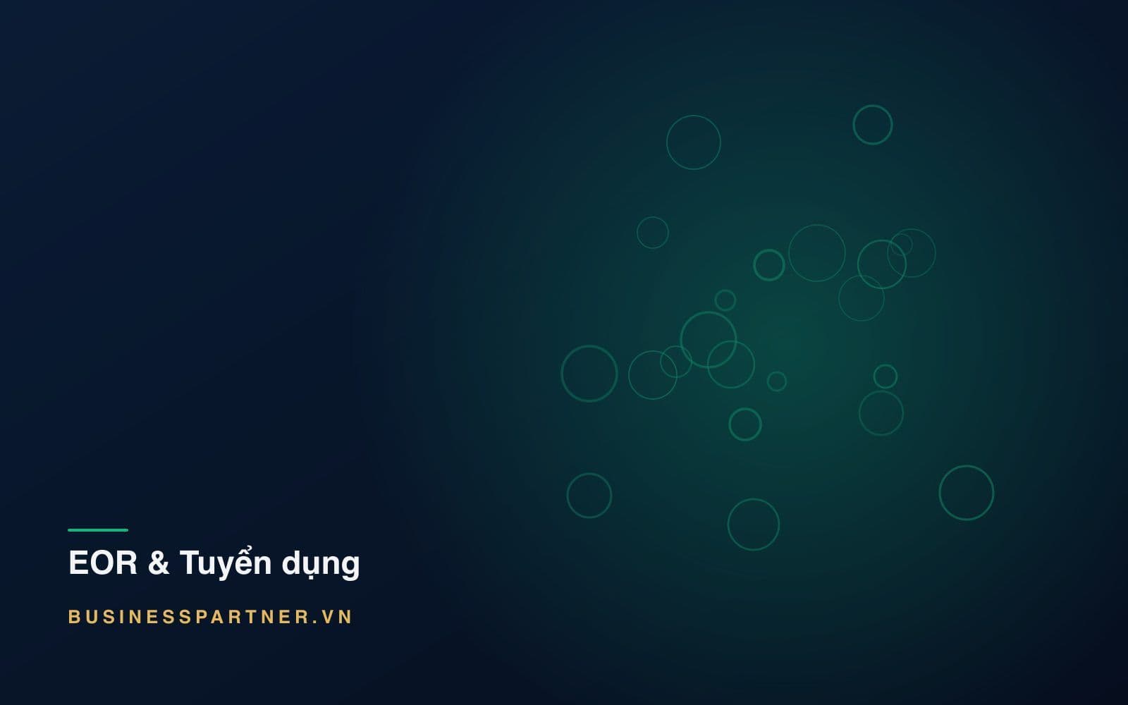 Thiết lập nhân sự và tiền lương cho pháp nhân mới tại Việt Nam: 60 ngày đầu