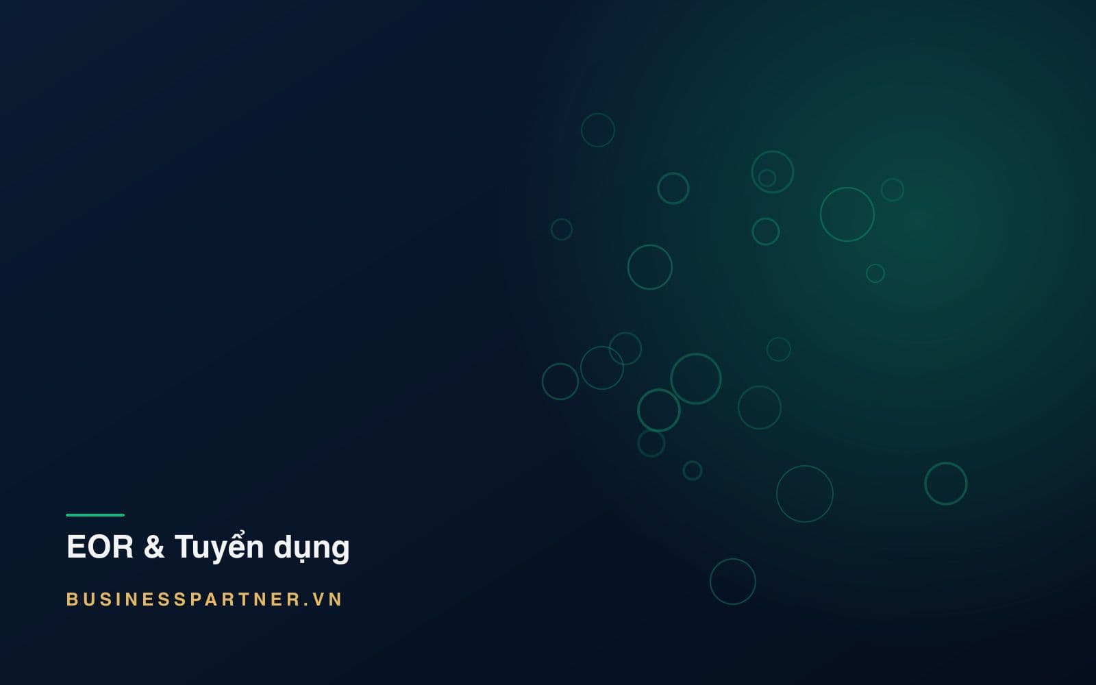 Tuyển giám đốc quốc gia tại Việt Nam: quyết định phía sau bản mô tả công việc