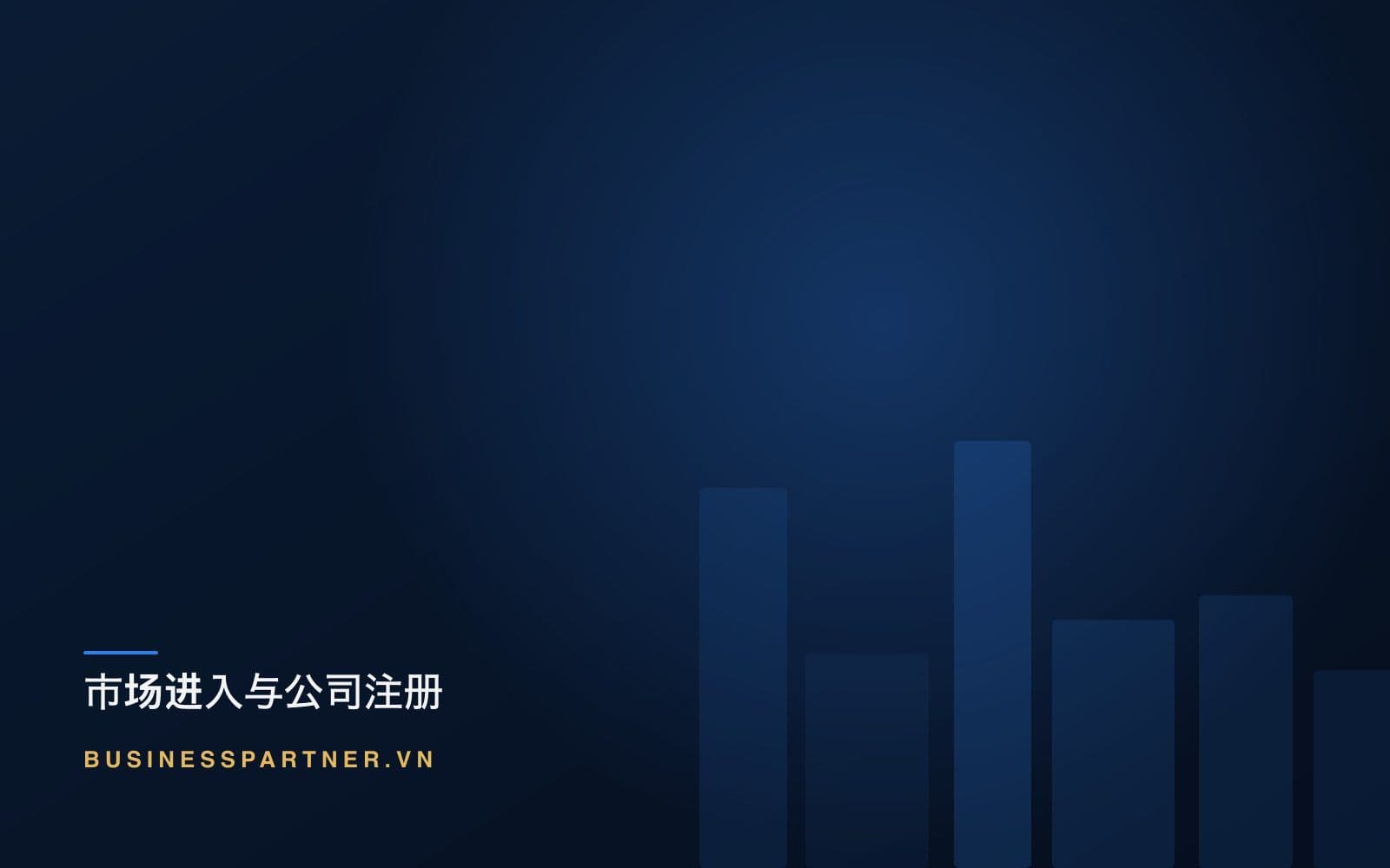 越南合资合同:决定控制权的条款