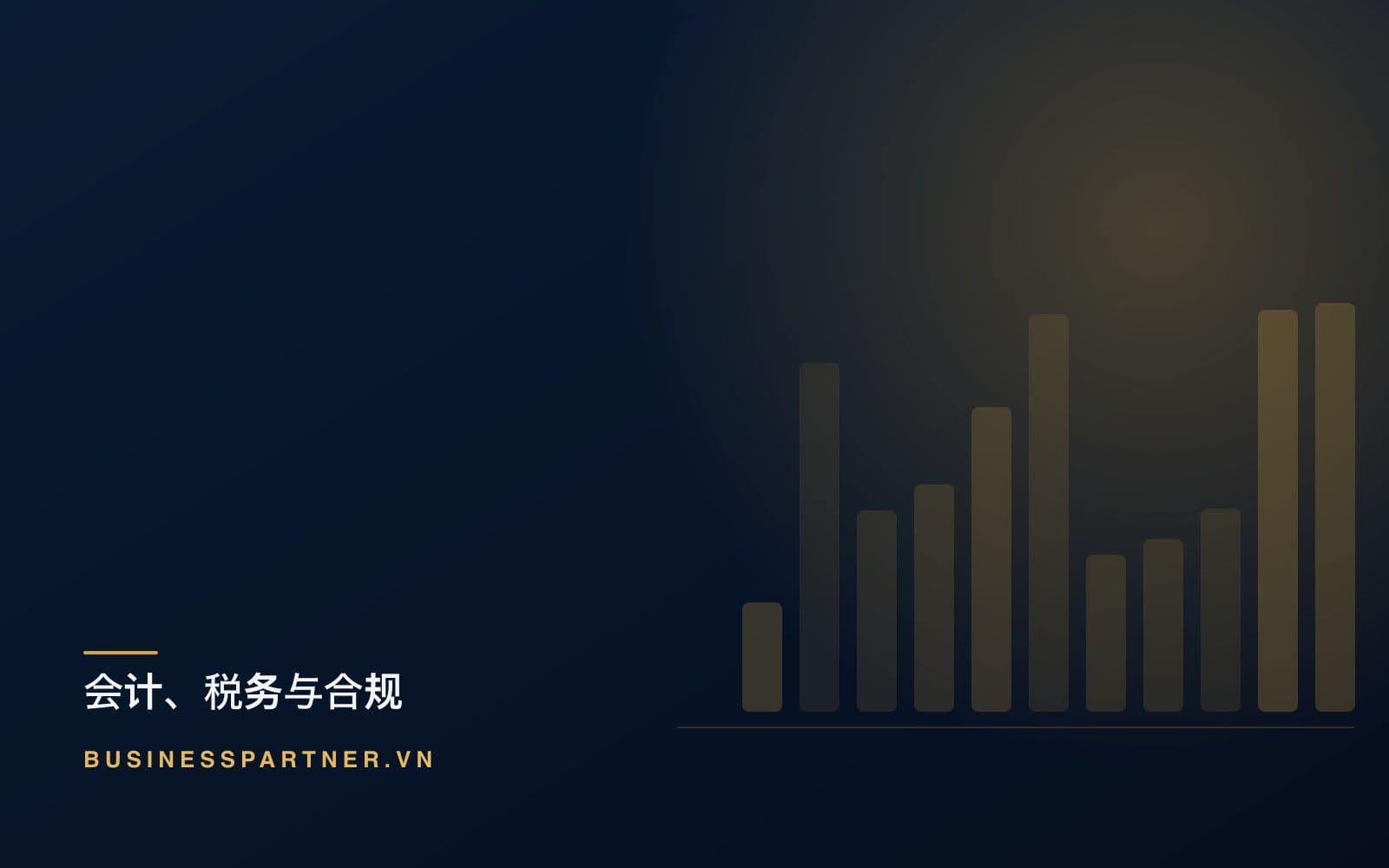 越南的年度税务决算:外籍财务长指南