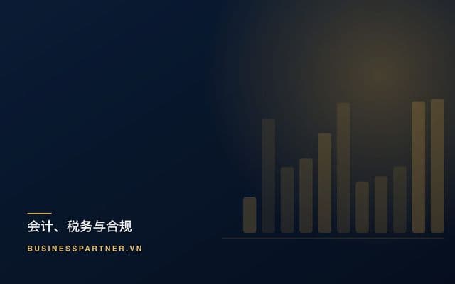 越南的年度税务决算:外籍财务长指南