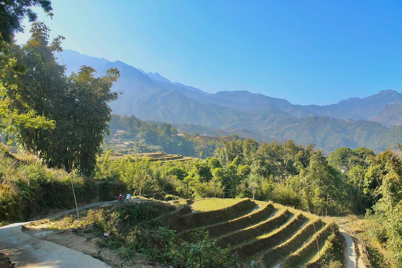Sapa terraced rice fields